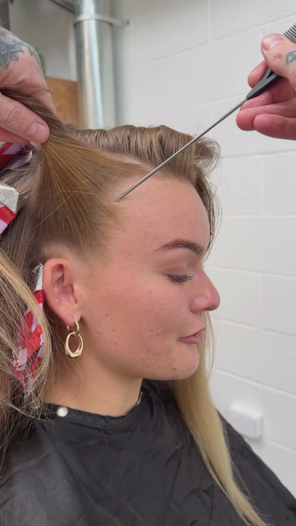 Look & Learn - Highlift Tint 101